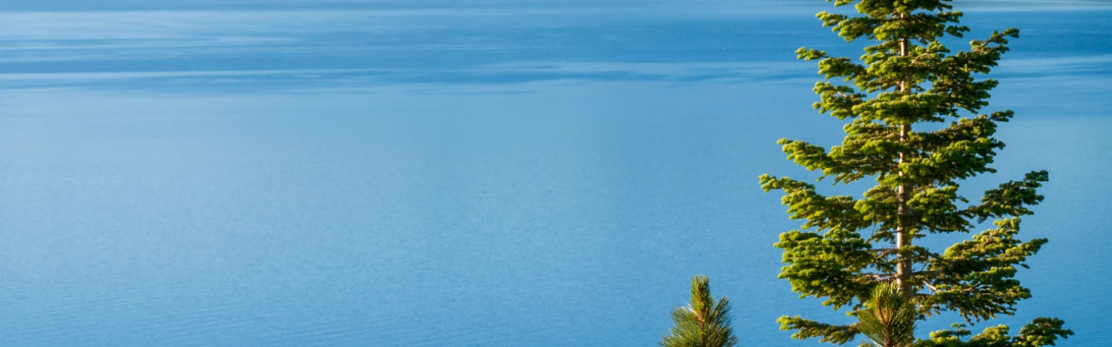Explore South Lake Tahoe: Must-See Attractions & Hidden Gems