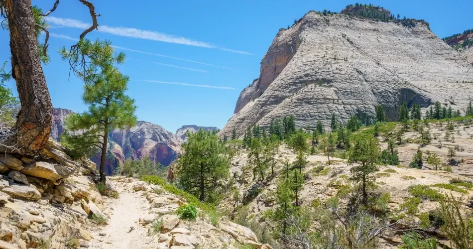 Must-Visit Places in South Lake Tahoe for Nature & City Lovers